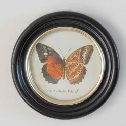 Graham & Green Prints & Wall Art<Set of Four Butterfly Prints