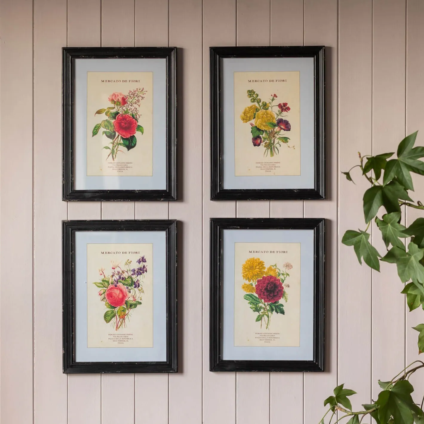 Graham & Green Prints & Wall Art<Set of Four Framed Vintage Flower Prints