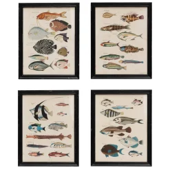 Graham & Green Prints & Wall Art<Set of Four Multicolour Fish Prints