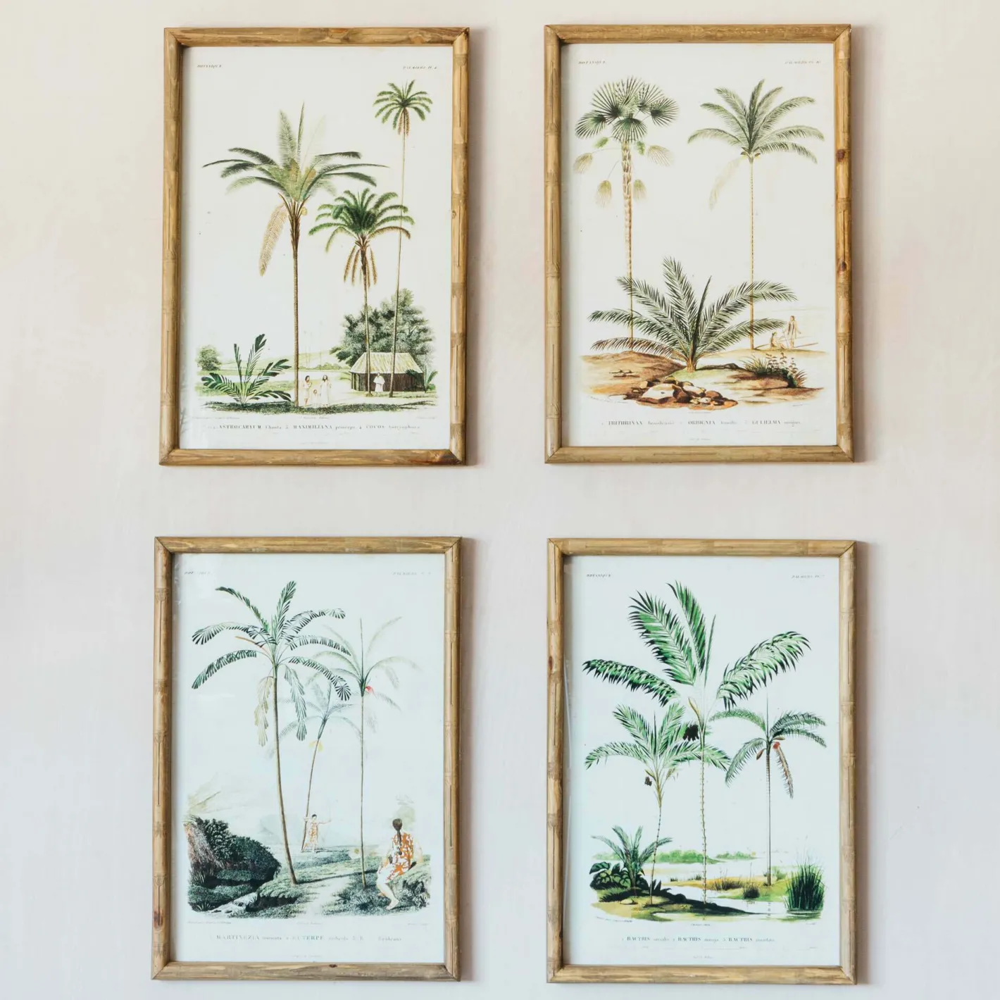 Graham & Green Prints & Wall Art<Set of Four Palm Tree Prints