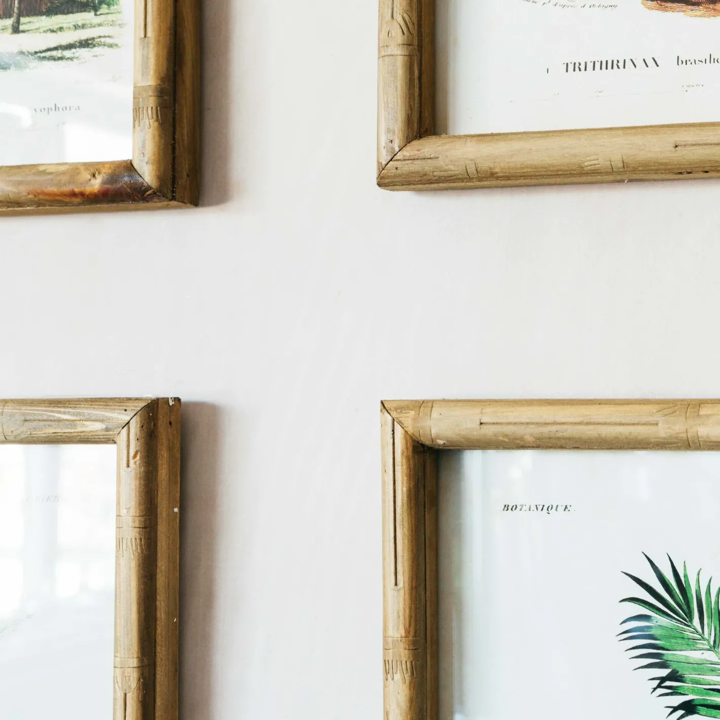 Graham & Green Prints & Wall Art<Set of Four Palm Tree Prints