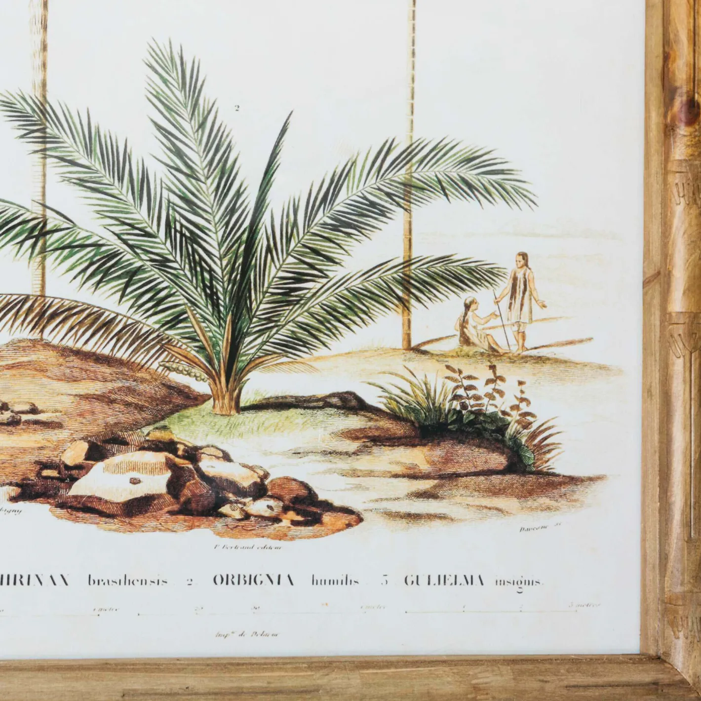 Graham & Green Prints & Wall Art<Set of Four Palm Tree Prints