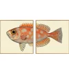 Graham & Green Prints & Wall Art<Set of Two Blotched Bigeye Print with Oak Frames