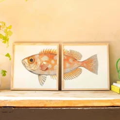 Graham & Green Prints & Wall Art<Set of Two Blotched Bigeye Print with Oak Frames