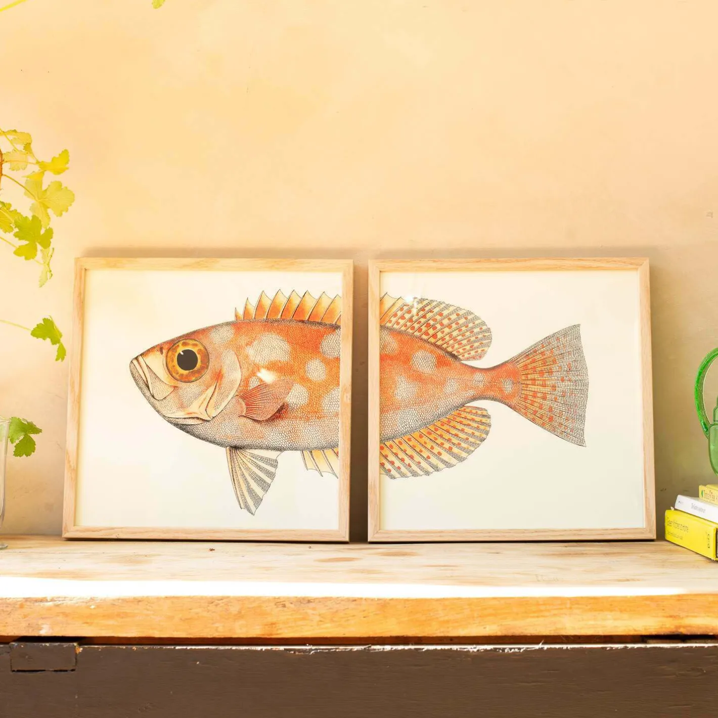 Graham & Green Prints & Wall Art<Set of Two Blotched Bigeye Print with Oak Frames