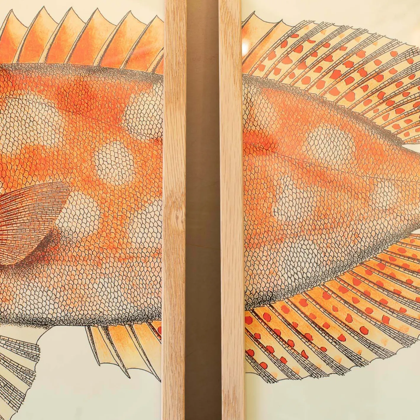 Graham & Green Prints & Wall Art<Set of Two Blotched Bigeye Print with Oak Frames