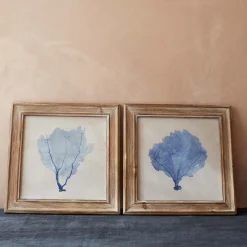 Graham & Green Prints & Wall Art<Set of Two Framed Blue Coral Pictures