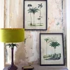 Graham & Green Prints & Wall Art<Set of Two Framed Palm Tree Prints