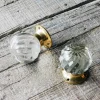 Graham & Green Knobs & Handles<Set of Two Glass and Brass Spiral Melon Door Knobs