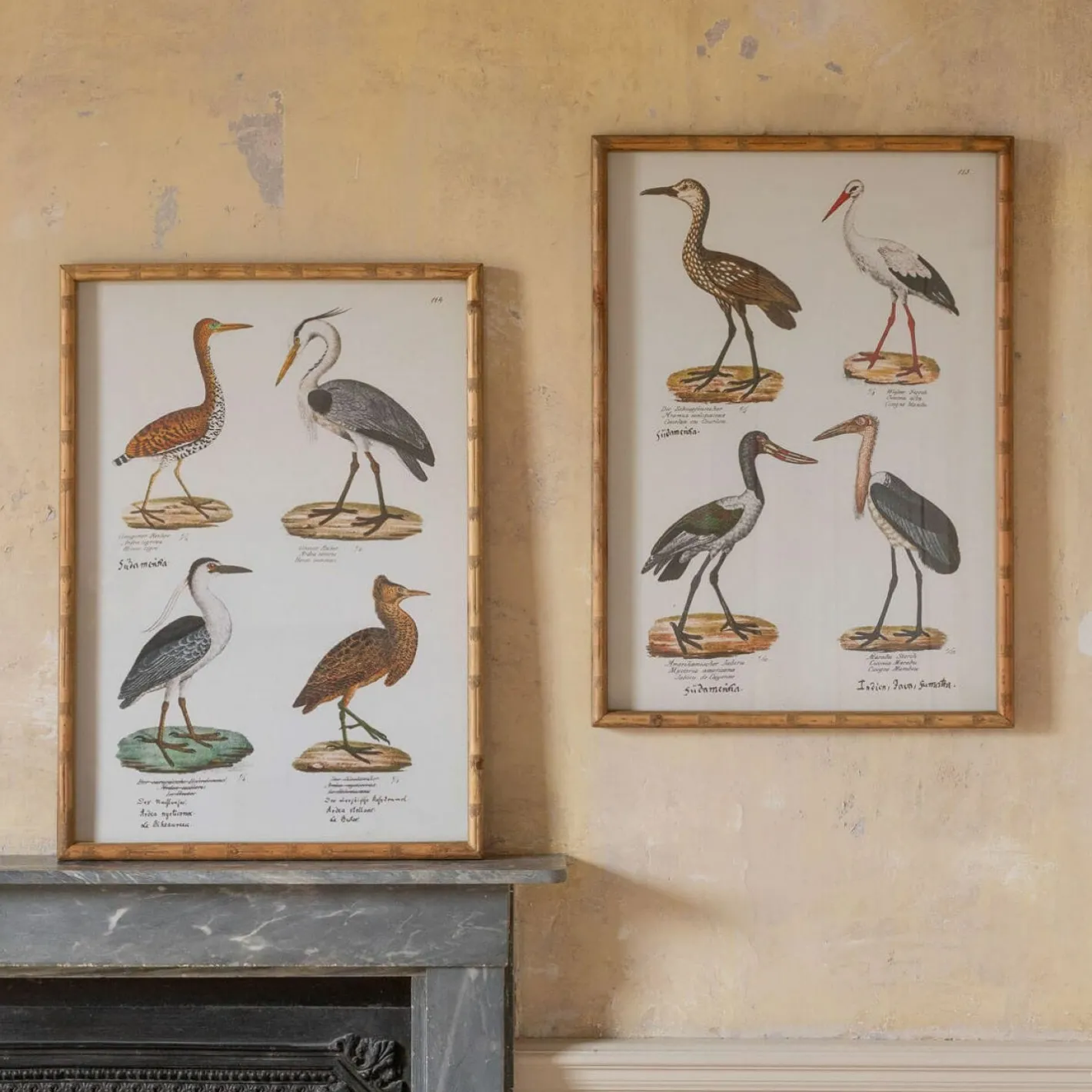 Graham & Green Prints & Wall Art<Set of Two Wading Birds Wall Art