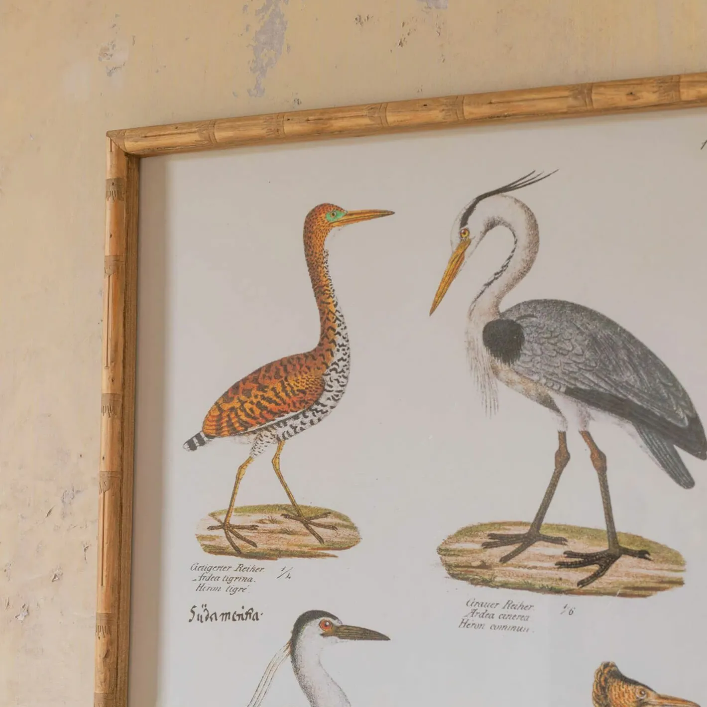 Graham & Green Prints & Wall Art<Set of Two Wading Birds Wall Art