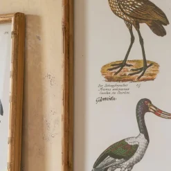 Graham & Green Prints & Wall Art<Set of Two Wading Birds Wall Art