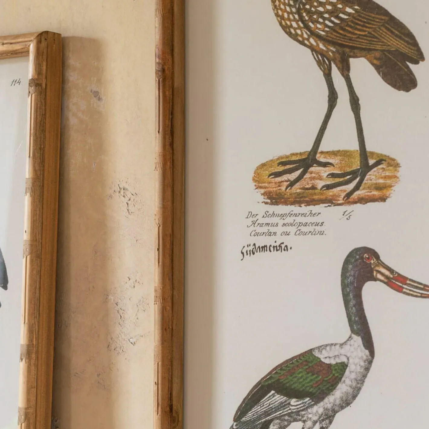 Graham & Green Prints & Wall Art<Set of Two Wading Birds Wall Art