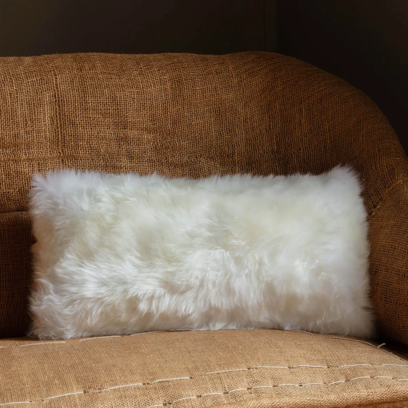 Graham & Green Sofa Cushions|Cushions<Sheepskin Cushions