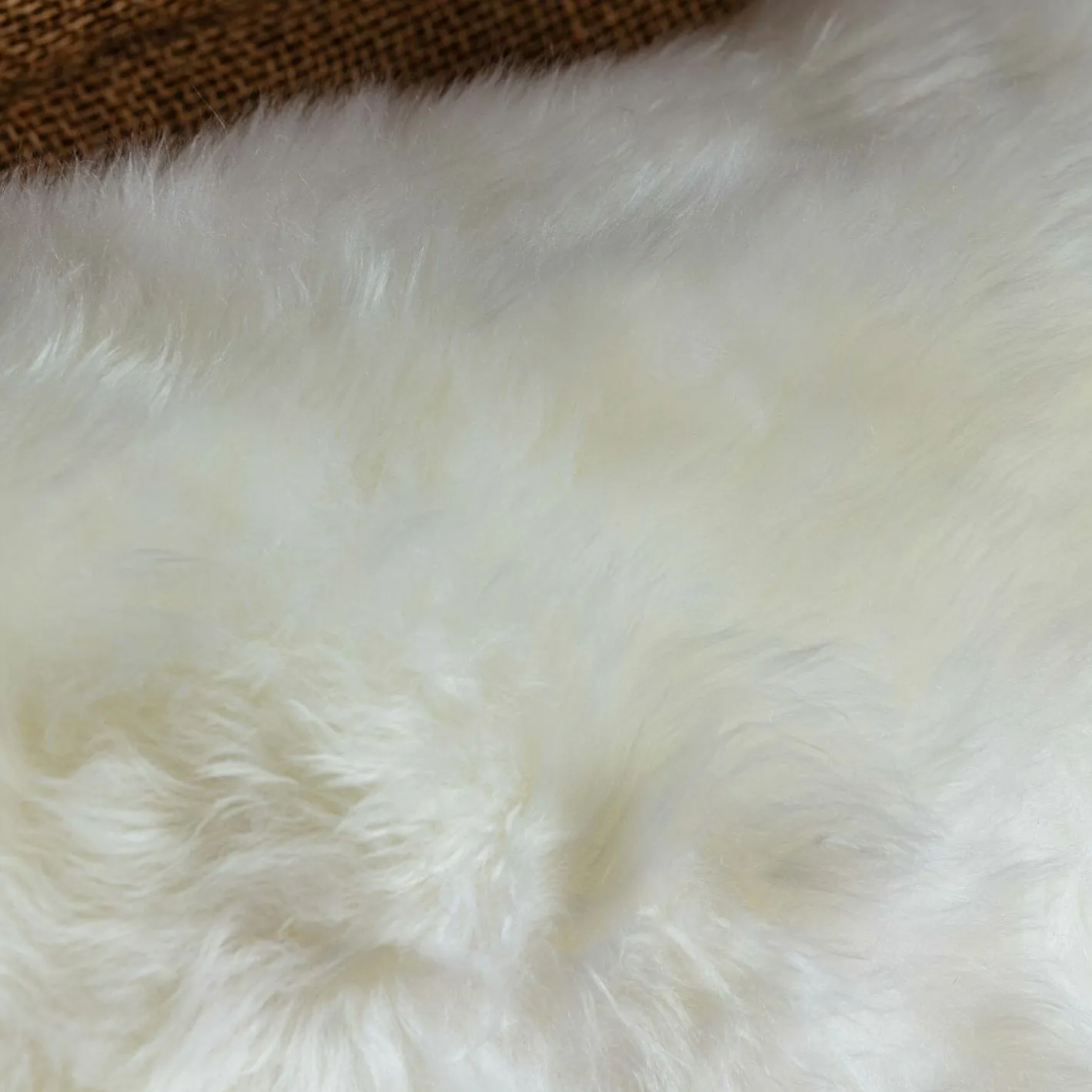 Graham & Green Sofa Cushions|Cushions<Sheepskin Cushions