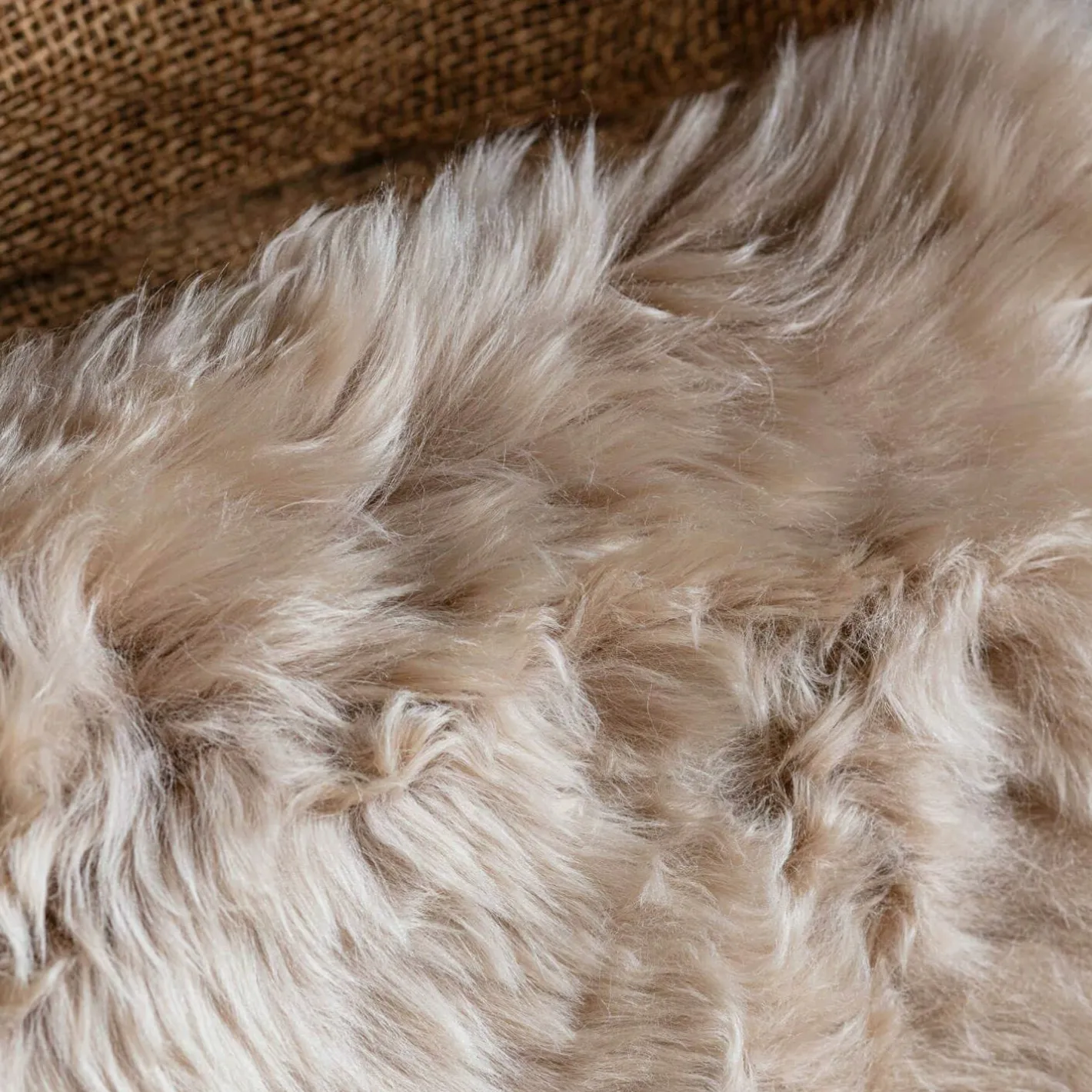 Graham & Green Sofa Cushions|Cushions<Sheepskin Cushions