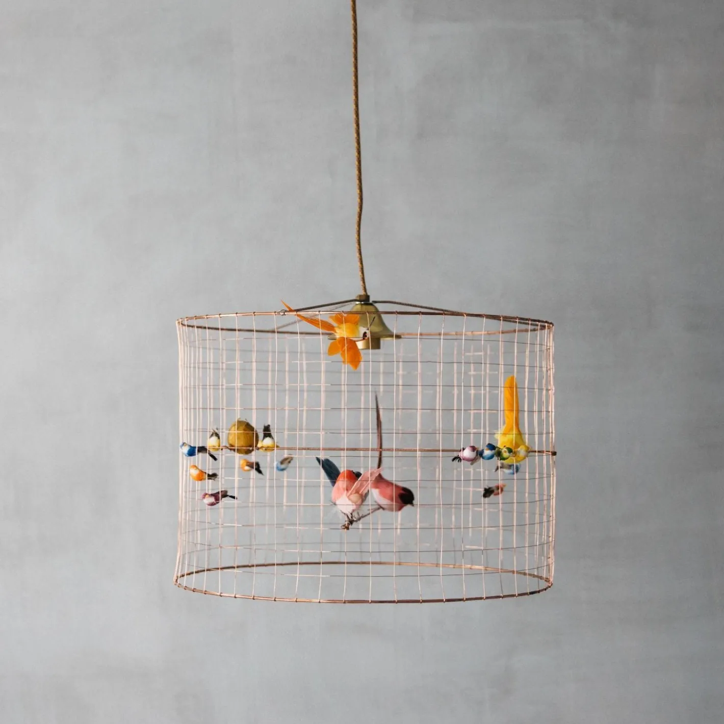 Graham & Green Animal Lights|Ceiling Lights & Chandeliers<Small Voliéres Bird Cage Pendant
