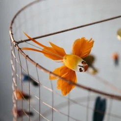 Graham & Green Animal Lights|Ceiling Lights & Chandeliers<Small Voliéres Bird Cage Pendant
