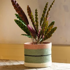 Graham & Green Vases & Plant Pots|Household Storage<Striped Rust and Green Basket