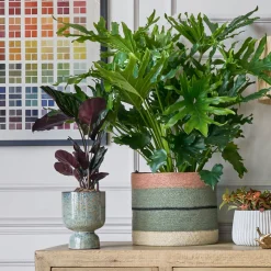 Graham & Green Vases & Plant Pots|Household Storage<Striped Rust and Green Basket