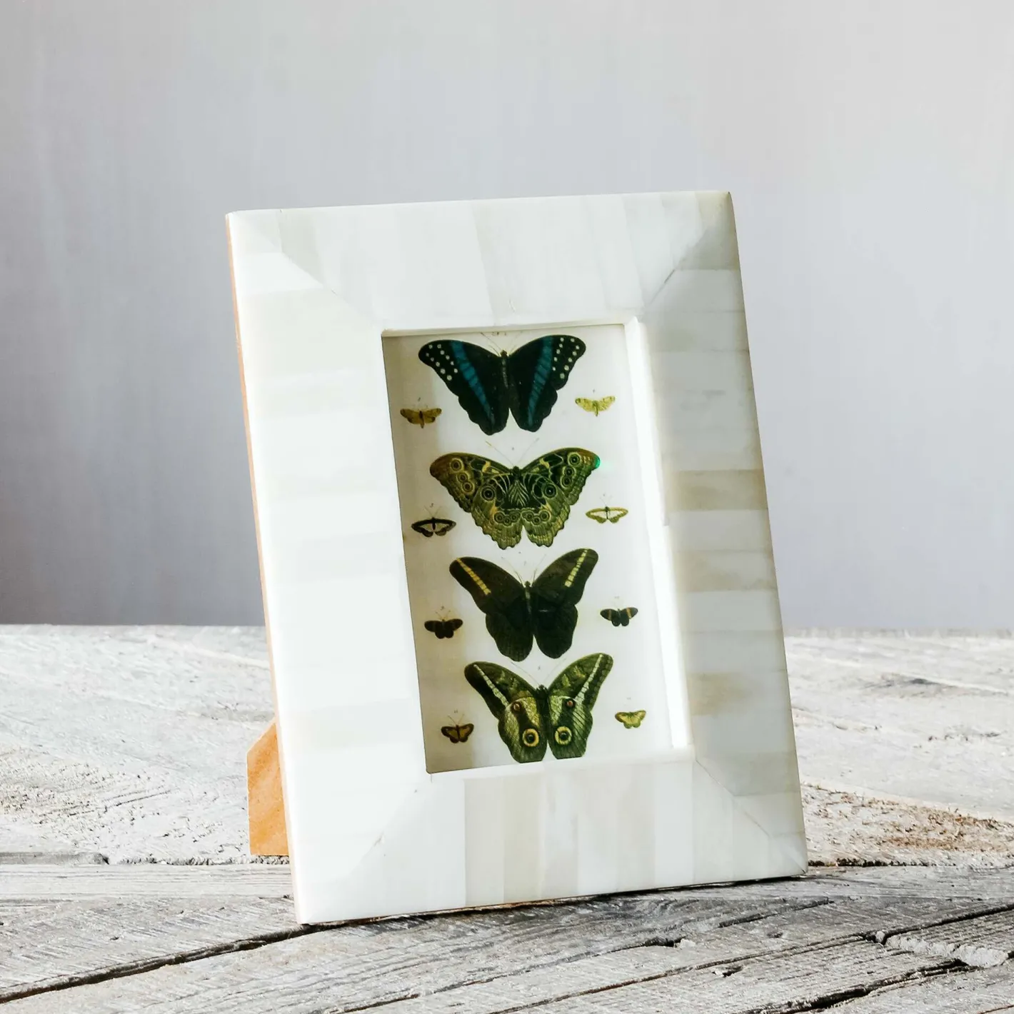 Graham & Green Photo Frames<Tapered White Bone Frame