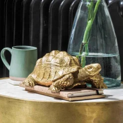 Graham & Green Decorative Accessories<Tarantino the Tortoise