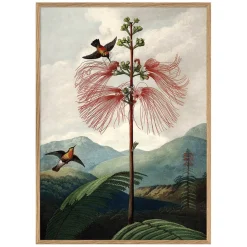 Graham & Green Prints & Wall Art<Tree of Flowers Print with Oak Frame