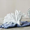 Graham & Green Decorative Accessories<White Ceramic Coral
