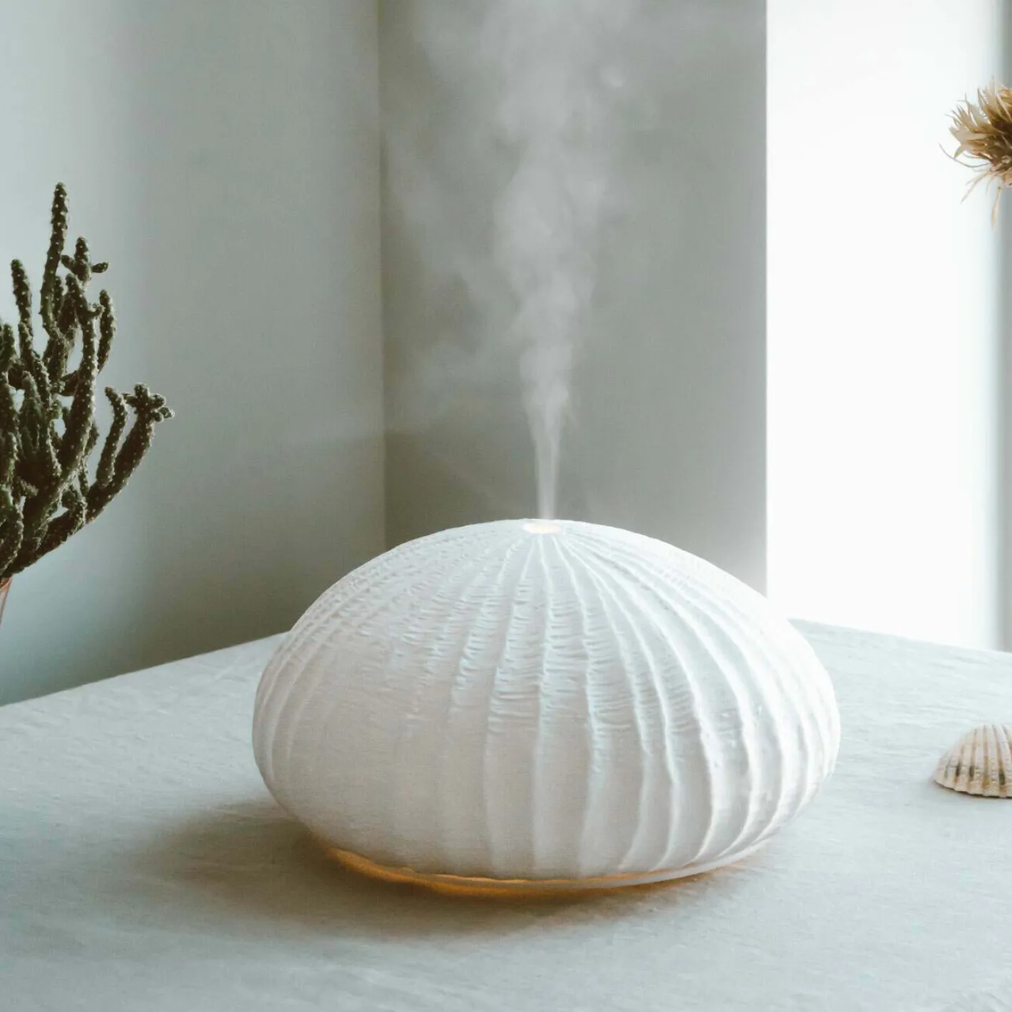 Graham & Green Home Fragrance|Home Fragrance<White Coral Reef Diffuser