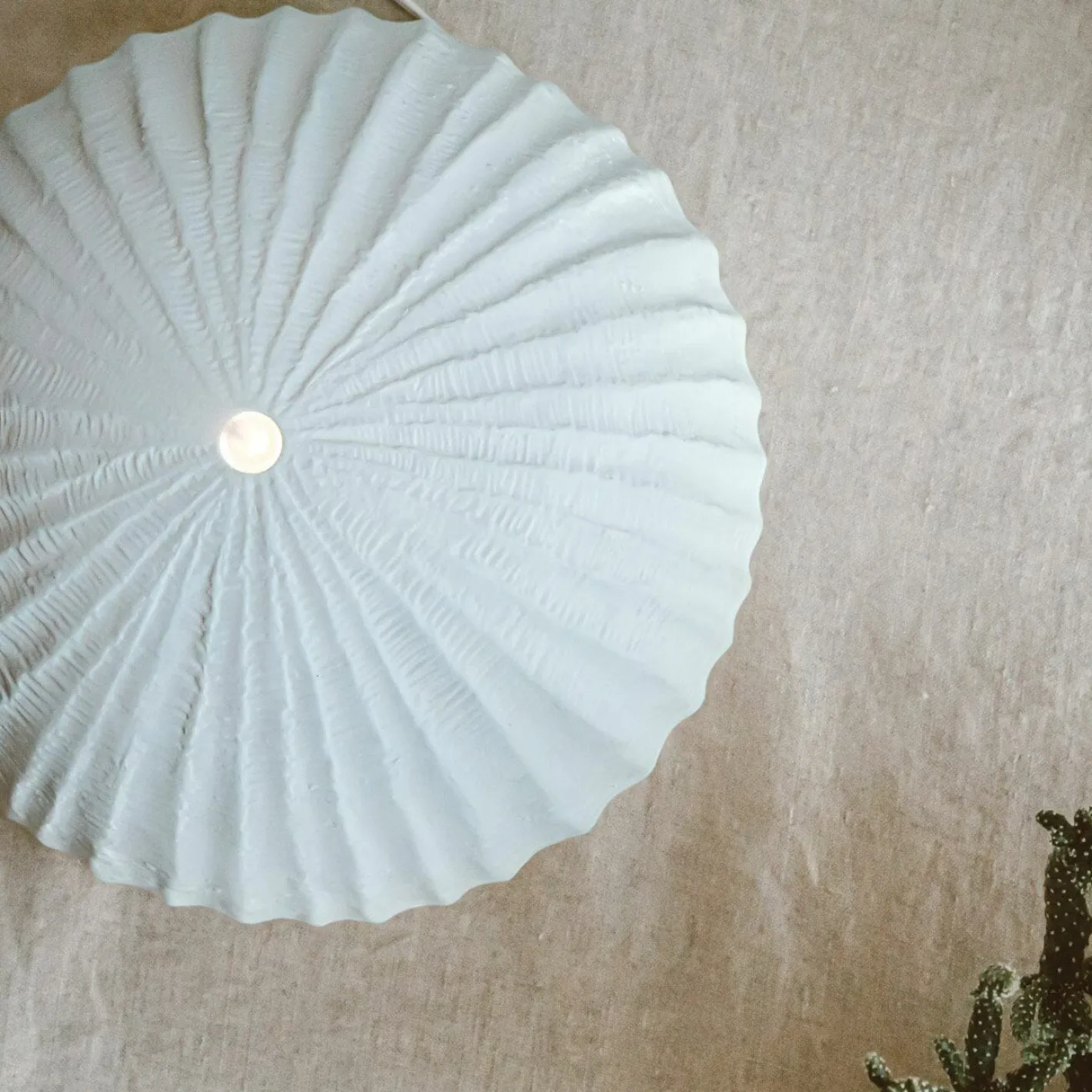 Graham & Green Home Fragrance|Home Fragrance<White Coral Reef Diffuser