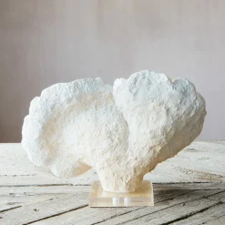 Graham & Green Decorative Accessories<White Faux Coral on Stand