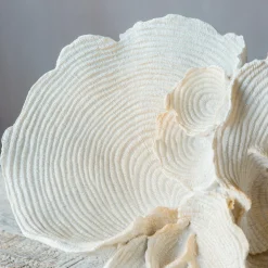 Graham & Green Decorative Accessories<White Faux Coral on Stand