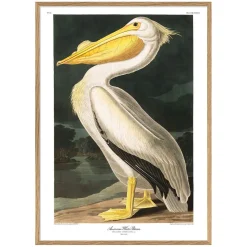 Graham & Green Prints & Wall Art<White Pelican Print with Oak Frame