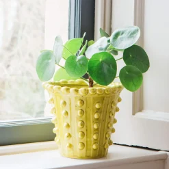 Graham & Green Vases & Plant Pots<Yellow Bobble Plant Pot